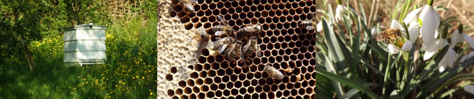 EAST CARMARTHEN BEEKEEPERS ASSOCIATION