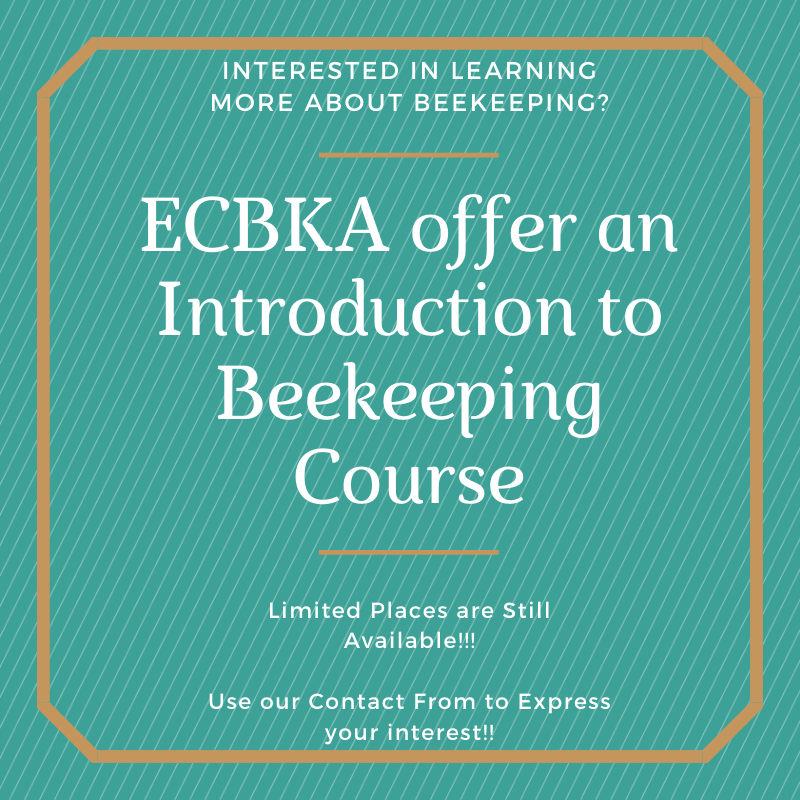 Introduction to beekeeping - ECBKA Beginners Course